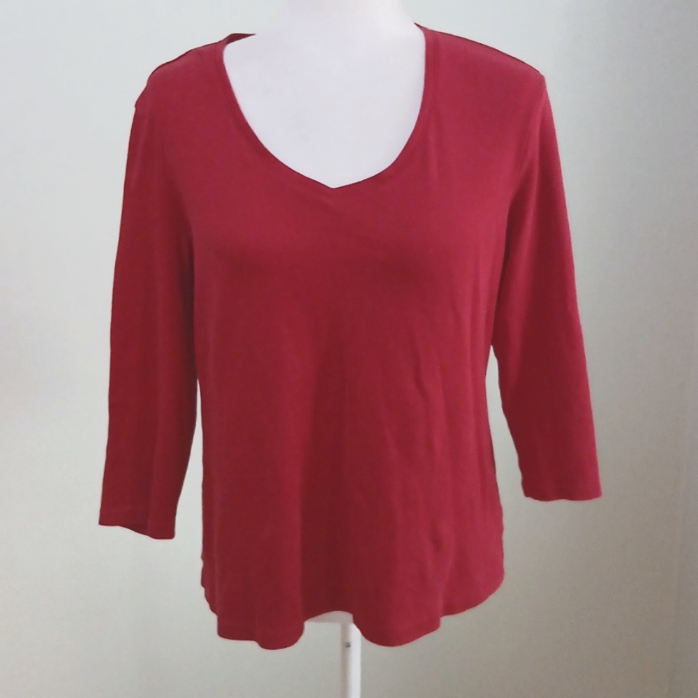 2/$15 Karen Scott V Neck Cotton Pullover Top